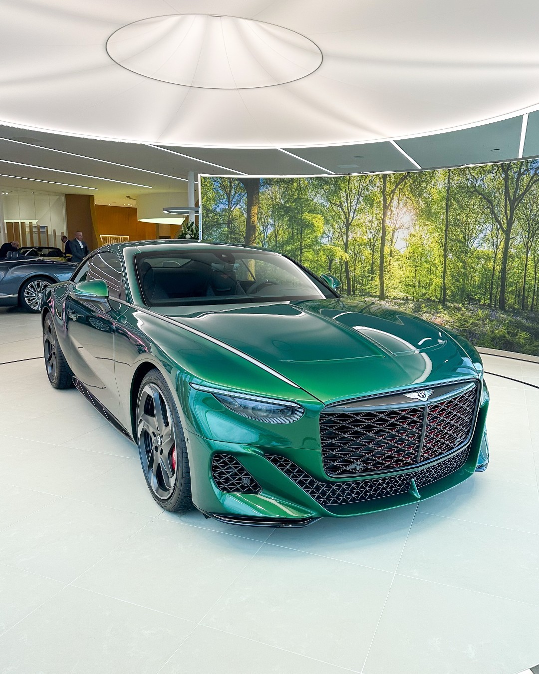 Bentley Bacalar Image